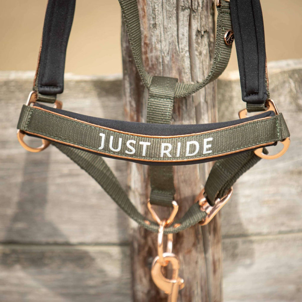 Harry's Horse Ensemble Licol Just Ride Summer Chique Kambaba