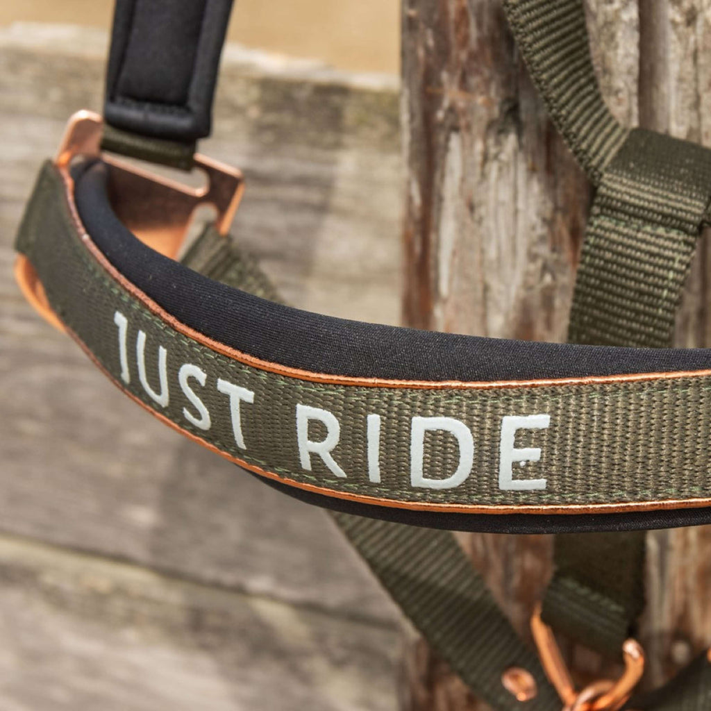 Harry's Horse Ensemble Licol Just Ride Summer Chique Kambaba