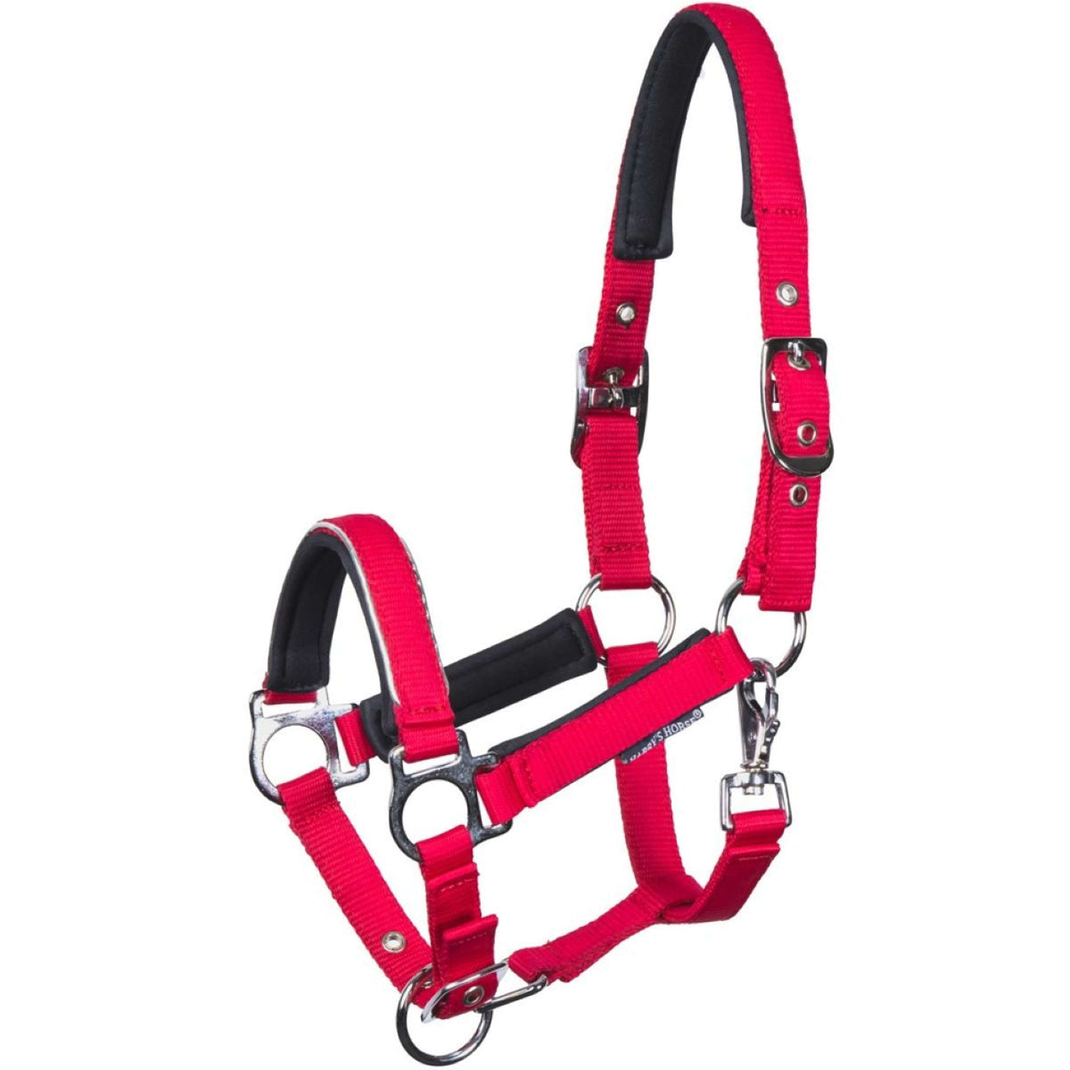 Harry's Horse Licol pour Poulain Metal Barberry