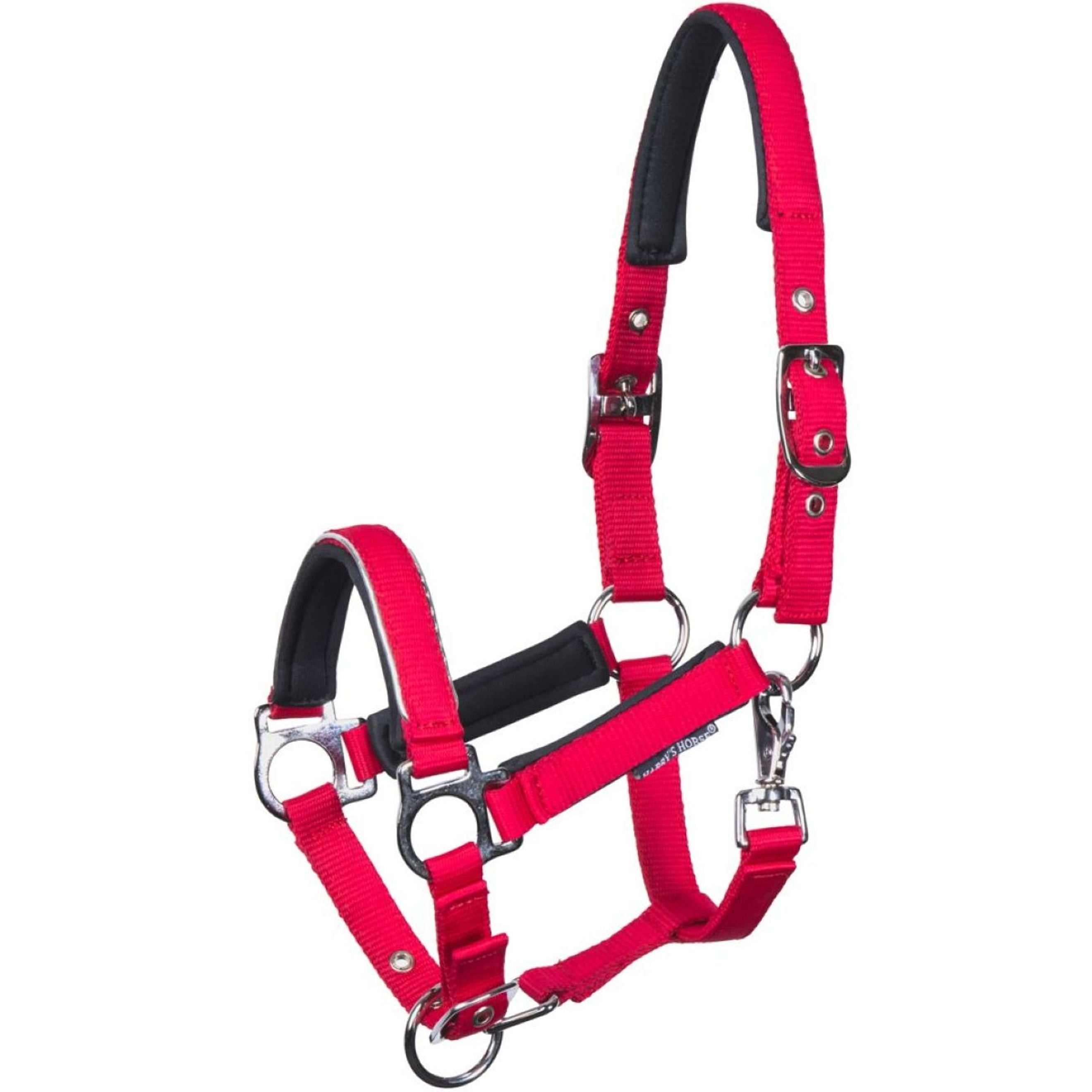 Harry's Horse Licol pour Poulain Metal Barberry