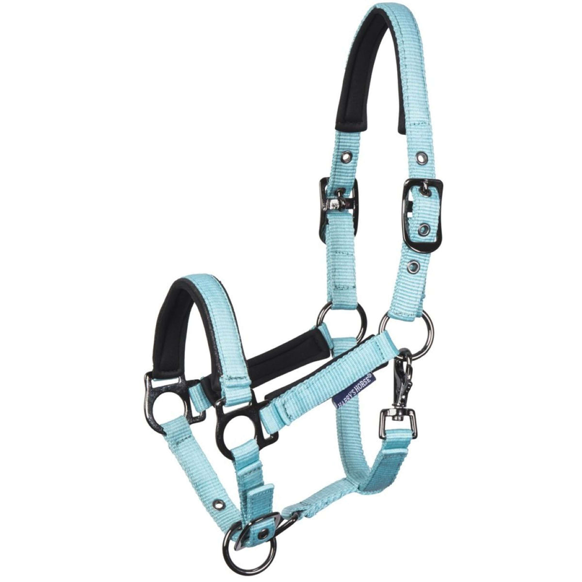 Harry's Horse Licol pour Poulain Metal Pastel Turquoise