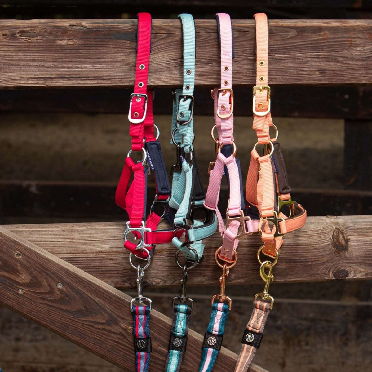 Harry's Horse Licol pour Poulain Metal Pink Dolphin