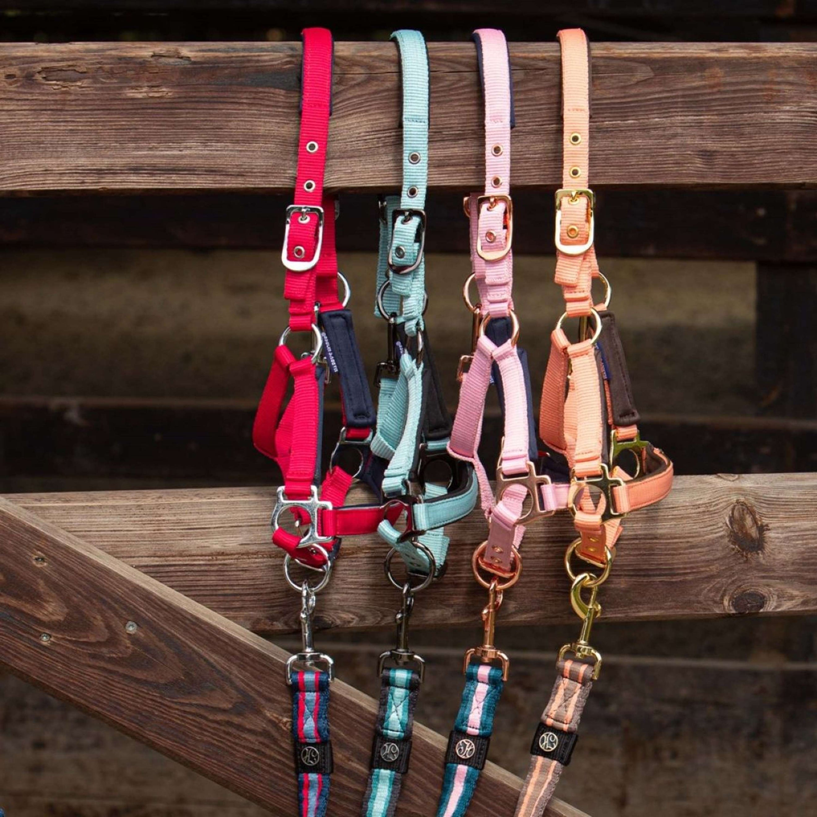 Harry's Horse Licol pour Poulain Metal Pink Dolphin