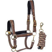 Harry's Horse Ensemble Licol Equestrian Society Coffee Quartz