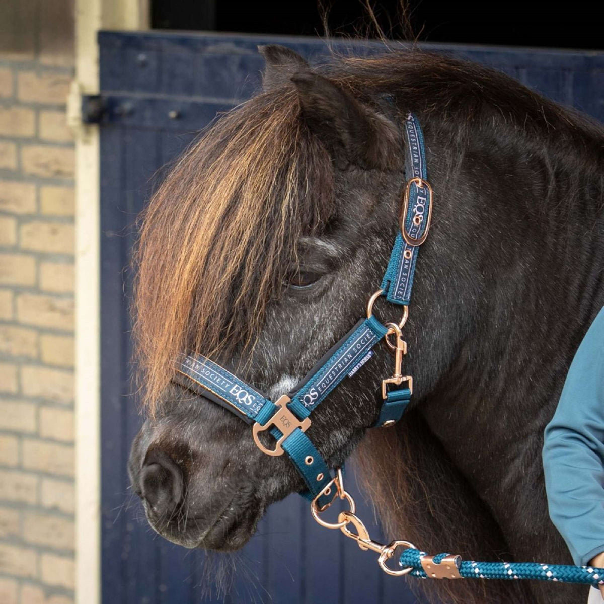 Harry's Horse Ensemble Licol Equestrian Society Moonlit Ocean