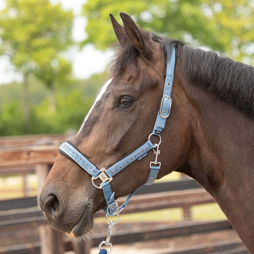 Harry's Horse Ensemble Licol Crystal Bleu ciel