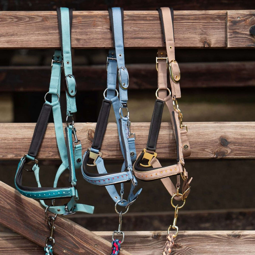 Harry's Horse Ensemble Licol Crystal Bleu ciel