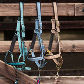 Harry's Horse Ensemble Licol Crystal Teal