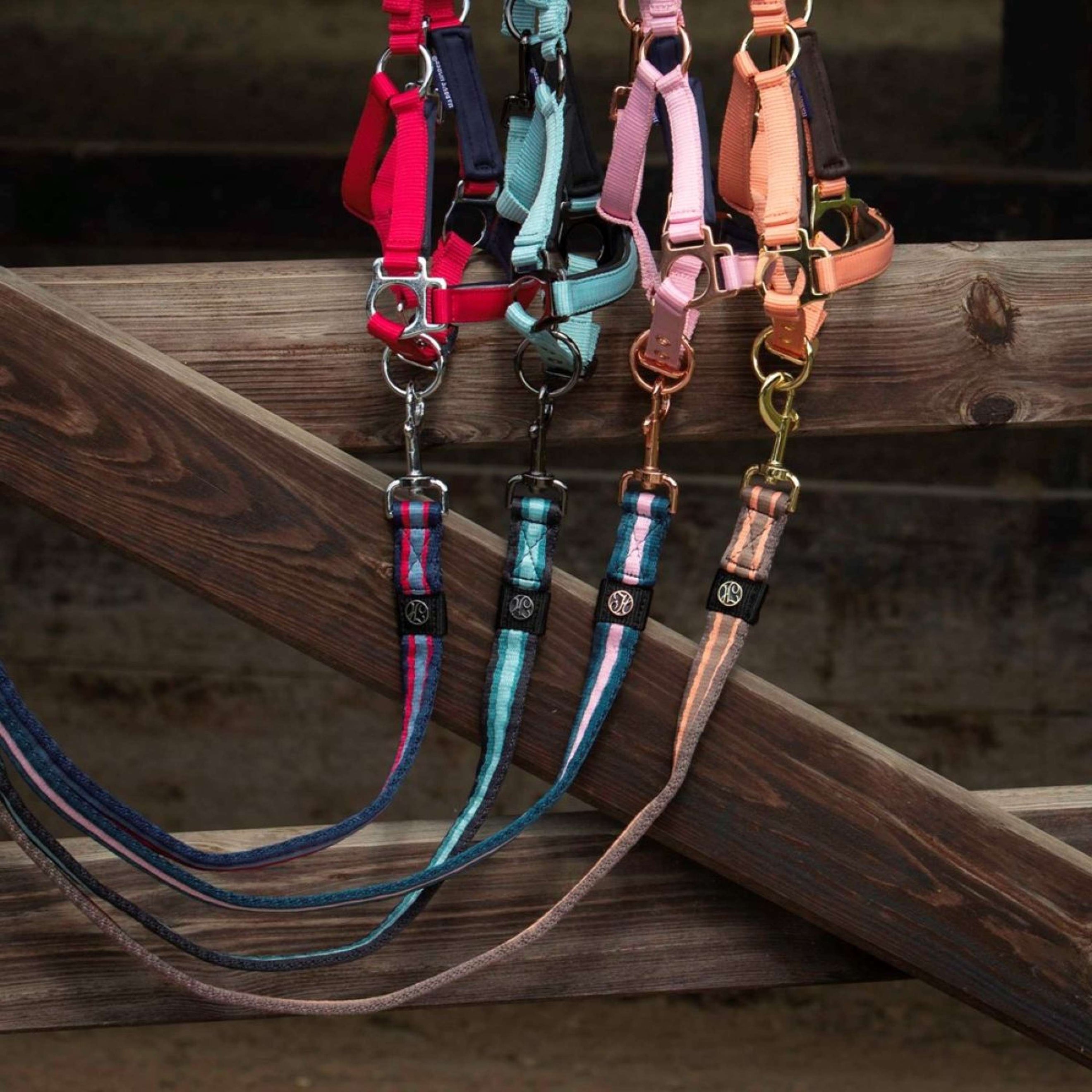 Harry's Horse Laisse Soft Moonlit Ocean