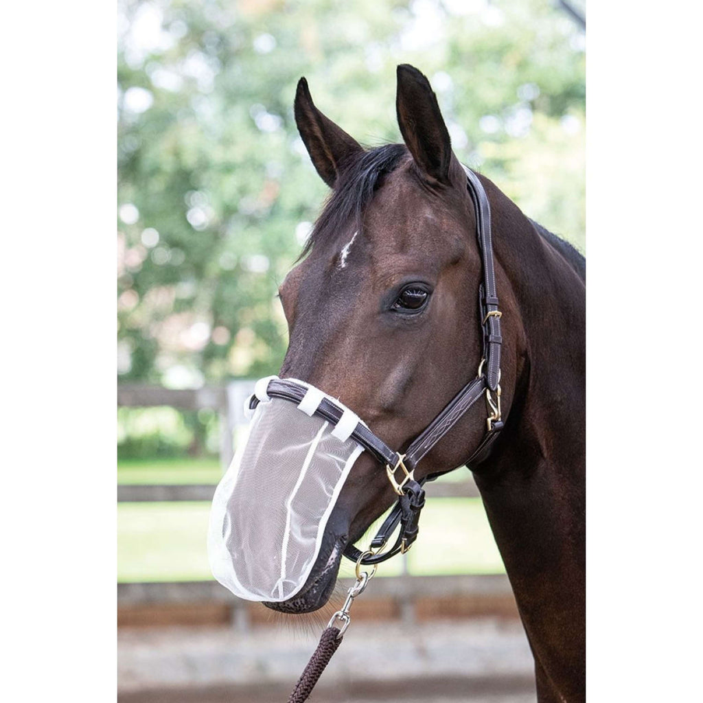 Harry's Horse Filet pour Naseaux Blanc