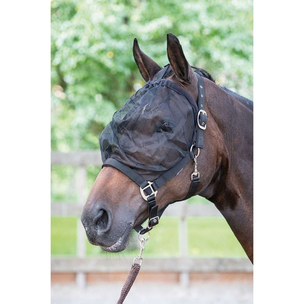 Harry's Horse Masque Anti-Mouches Licol