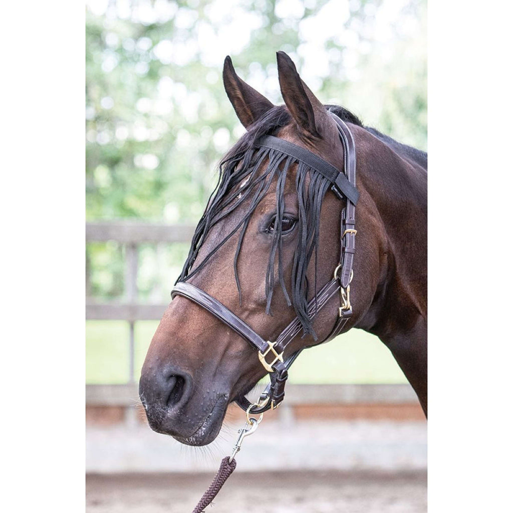 Harry's Horse Frontal Anti-Mouches Noir