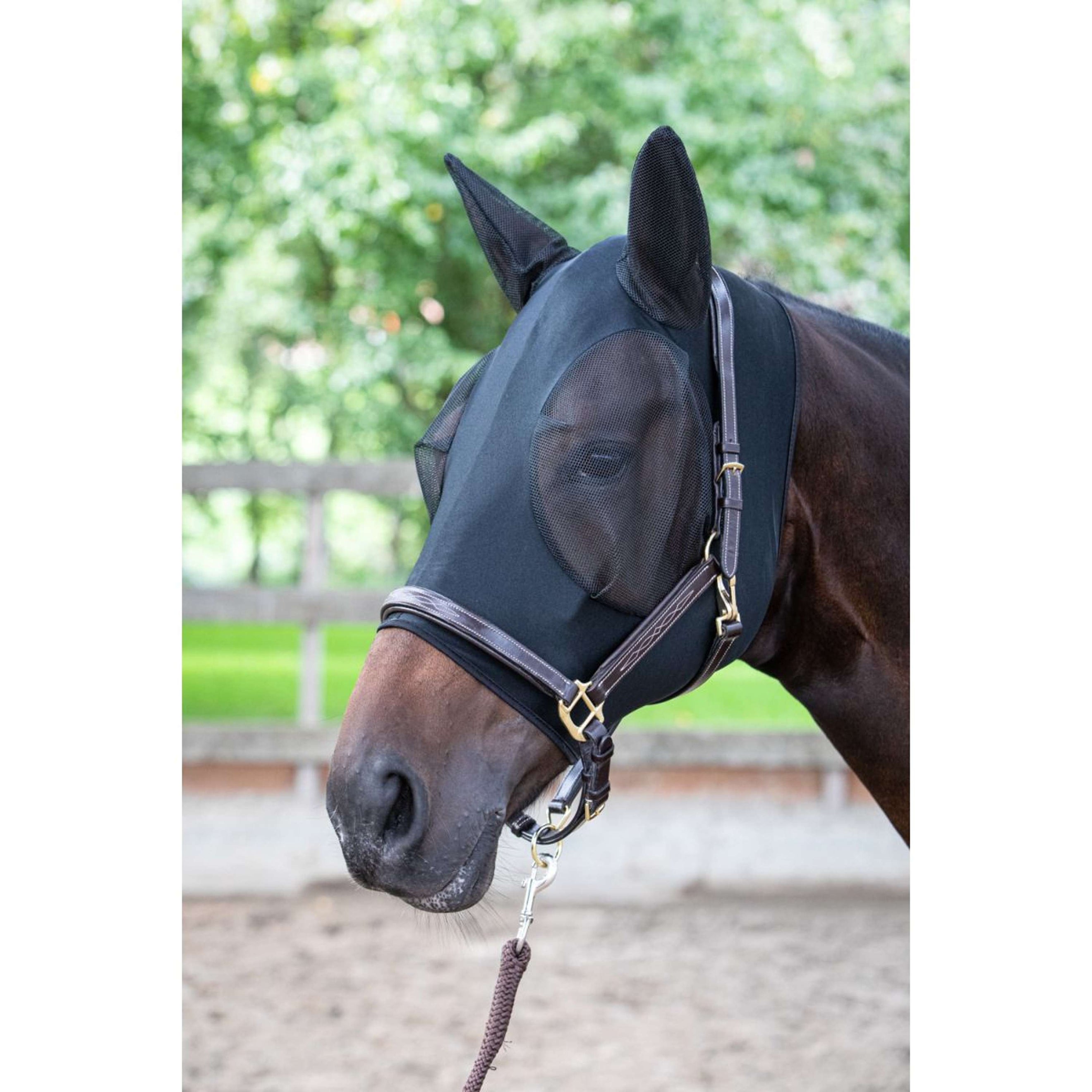 Harry's Horse Masque Anti-Mouches SkinFit avec Oreilles Noir