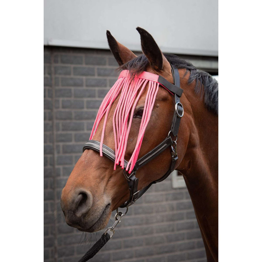 Harry's Horse Frontal Anti-Mouches Colour Rose