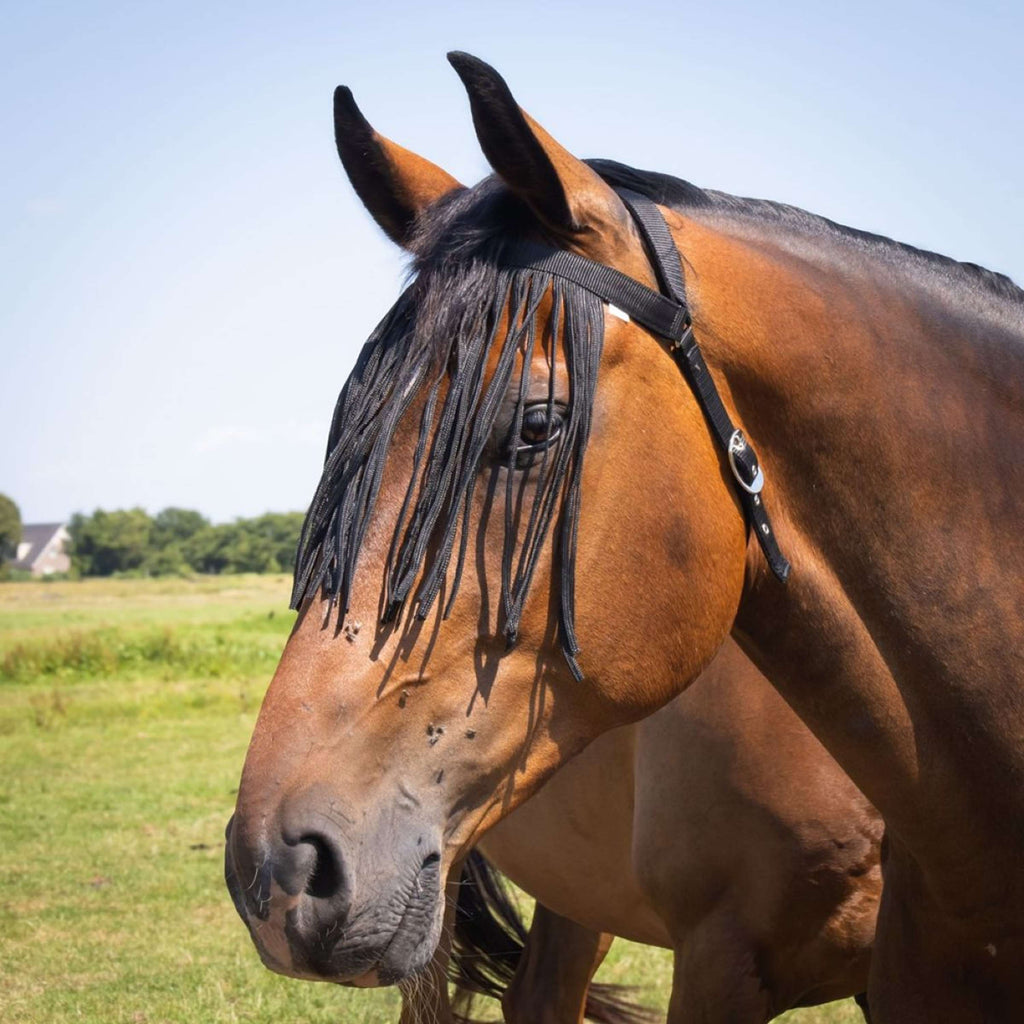 Harry's Horse Frontal Anti-Mouches Comfort+ Noir