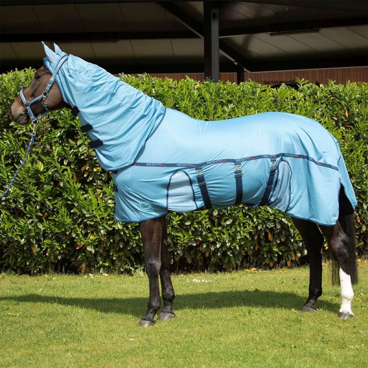 Harry's Horse Couverture Anti-Mouches Mesh-Pro Belly Bleu ciel