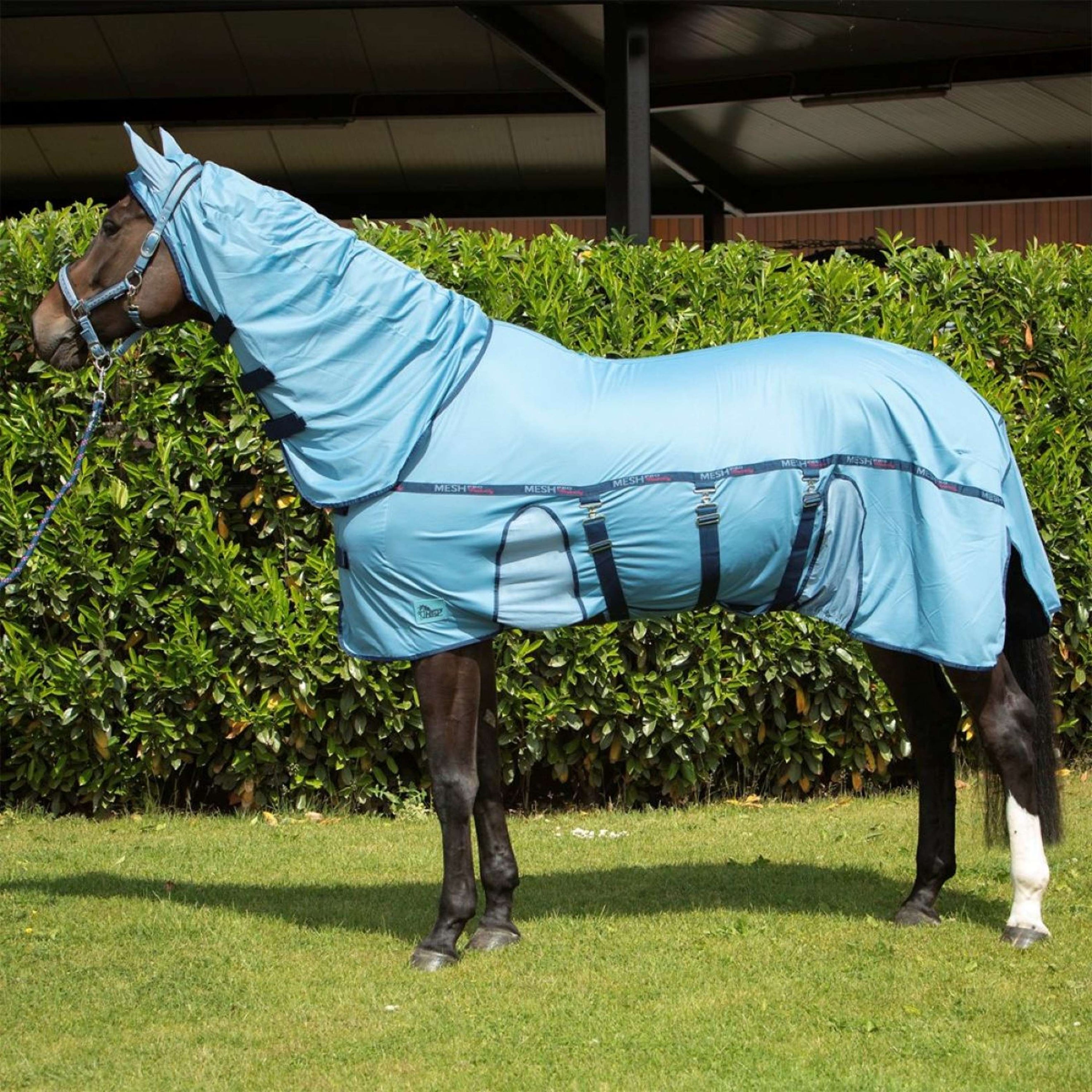 Harry's Horse Couverture Anti-Mouches Mesh-Pro Belly Bleu ciel