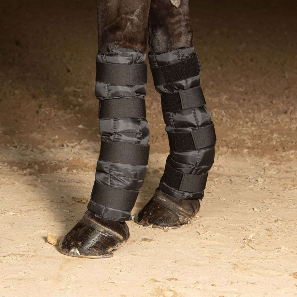 Harry's Horse Cold Wrap Noir