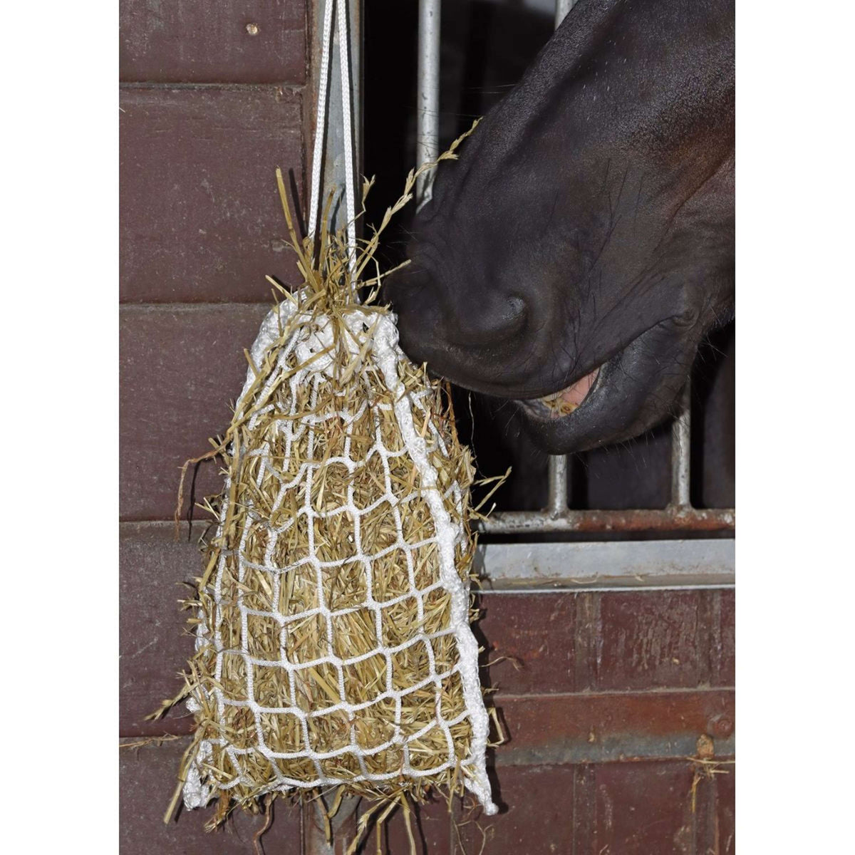 Harry's Horse Filet à Foin Slow Feeder Mini Blanc