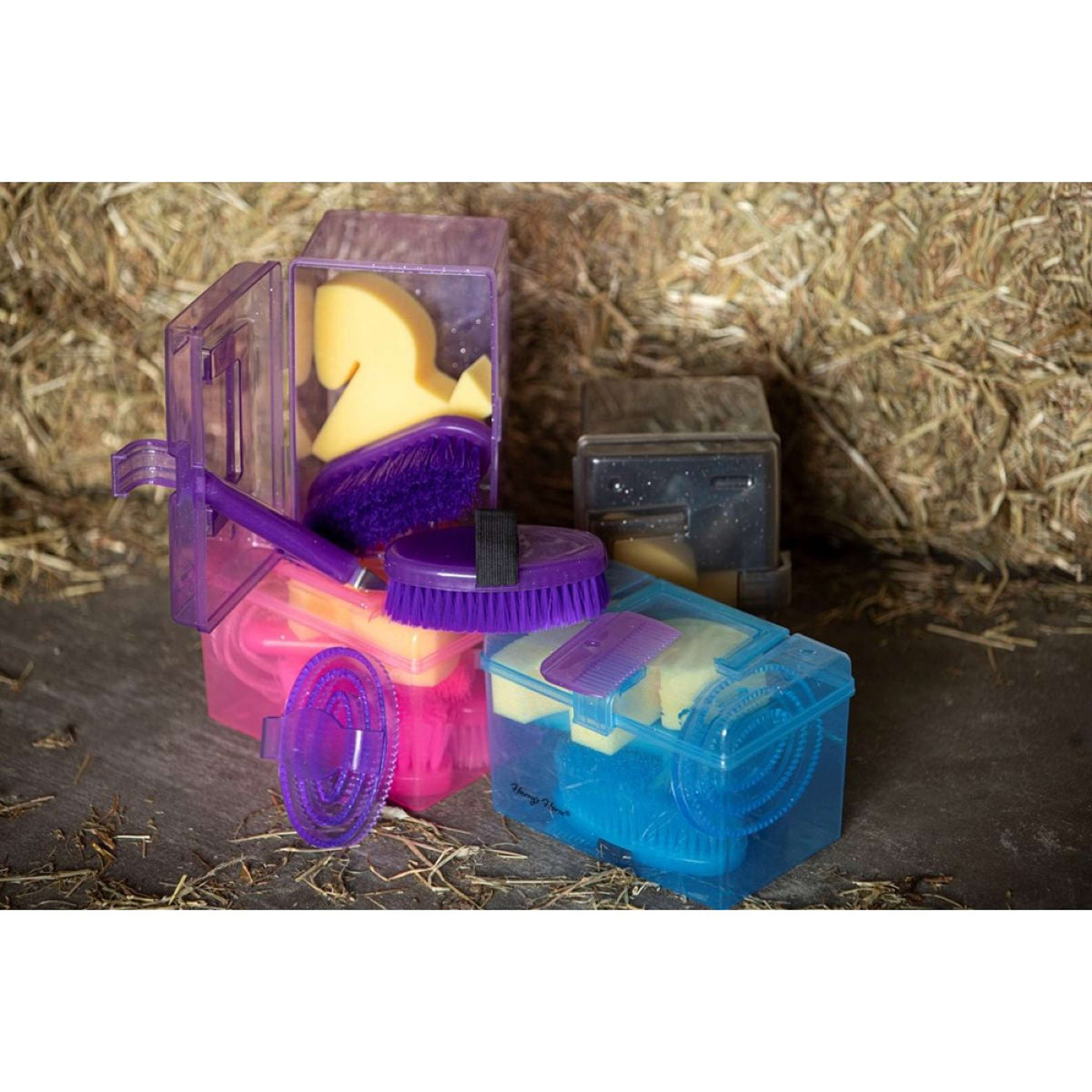 Harry's Horse Mini Gift Box Violet