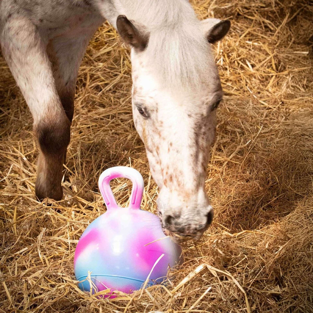 Harry's Horse Jouet pour Chevaux Assorti