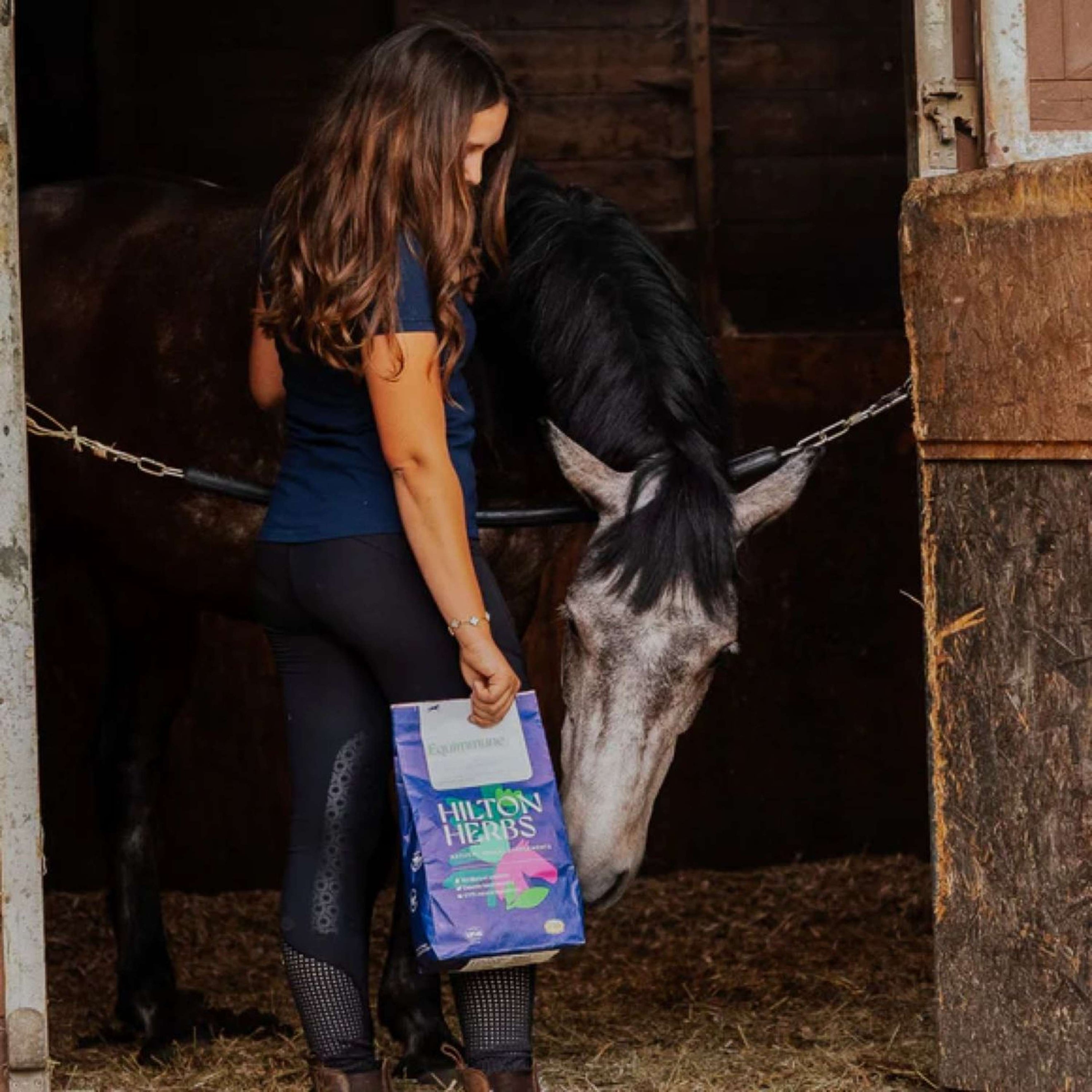 Hilton Herbs Equimmune Hilton Herbs Equimmune