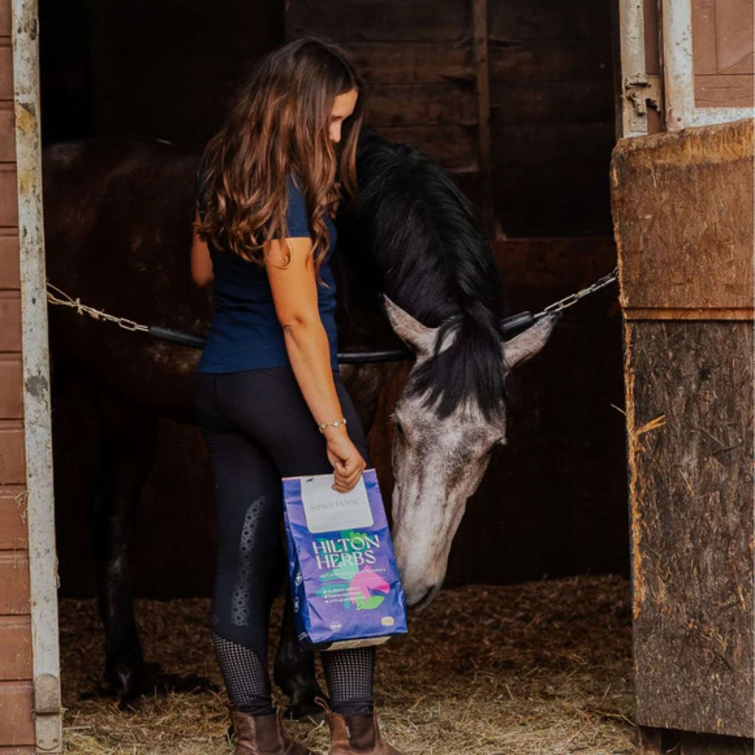 Hilton Herbs Senior Horse Hilton Herbs Senior Horse