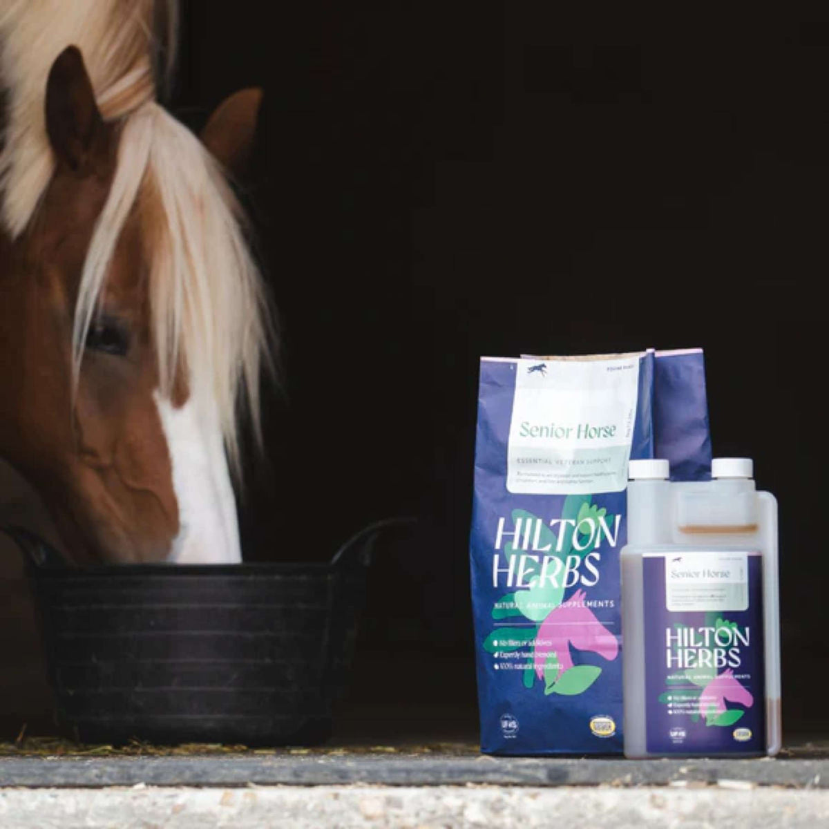 Hilton Herbs Senior Horse