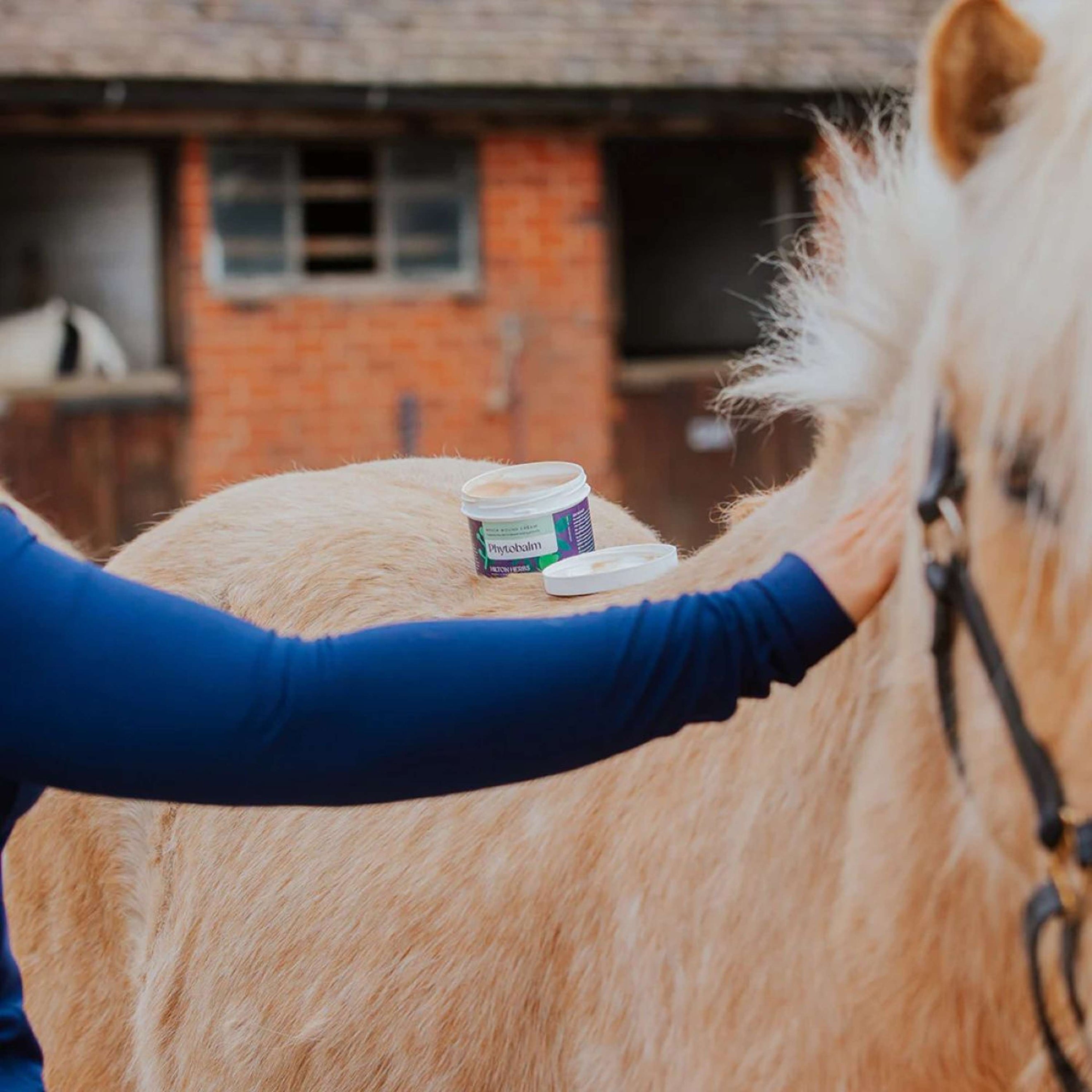 Hilton Herbs Phytobalm Hilton Herbs Phytobalm