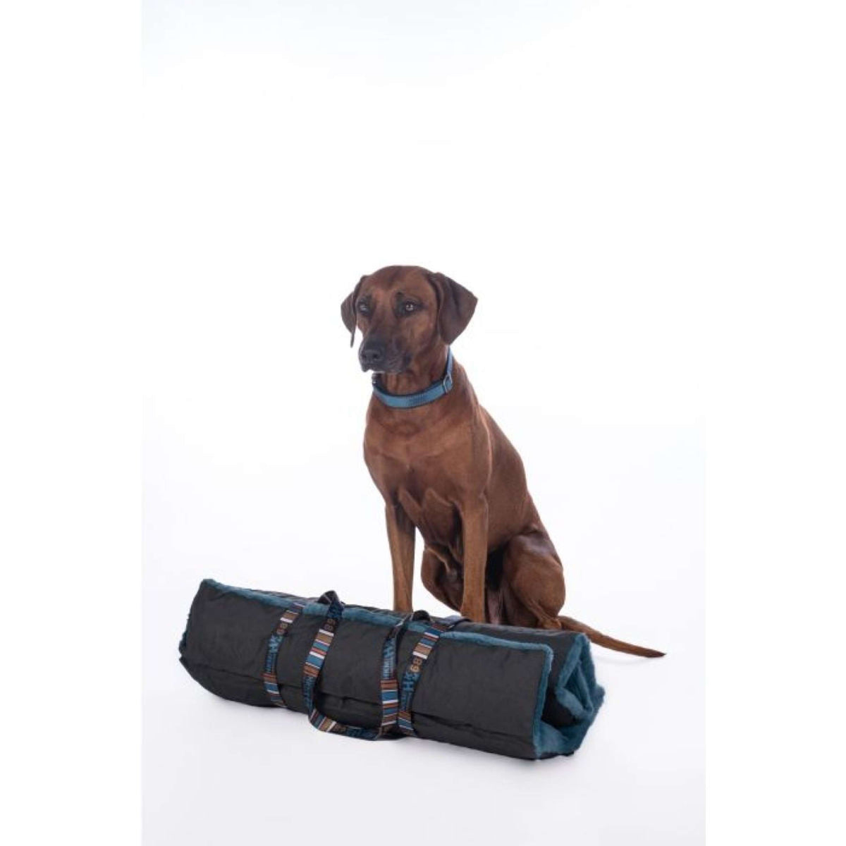 HKM Couverture pour Chien Anam Cara Travel Bleu Foncé