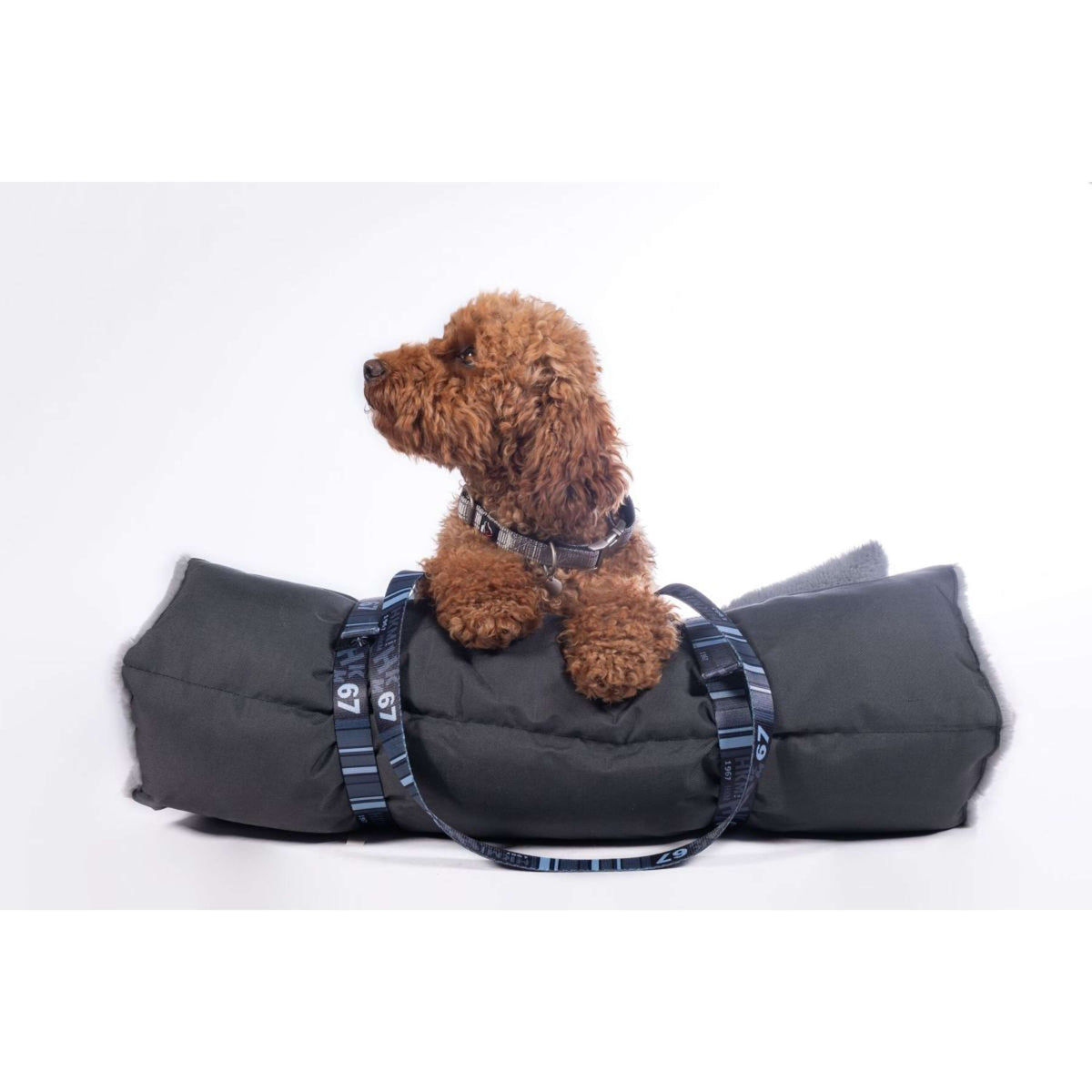 HKM Couverture pour Chien Anam Cara Travel Noir/Gris