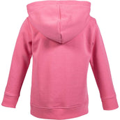 HKM Pull col Hoodie Bria Rose