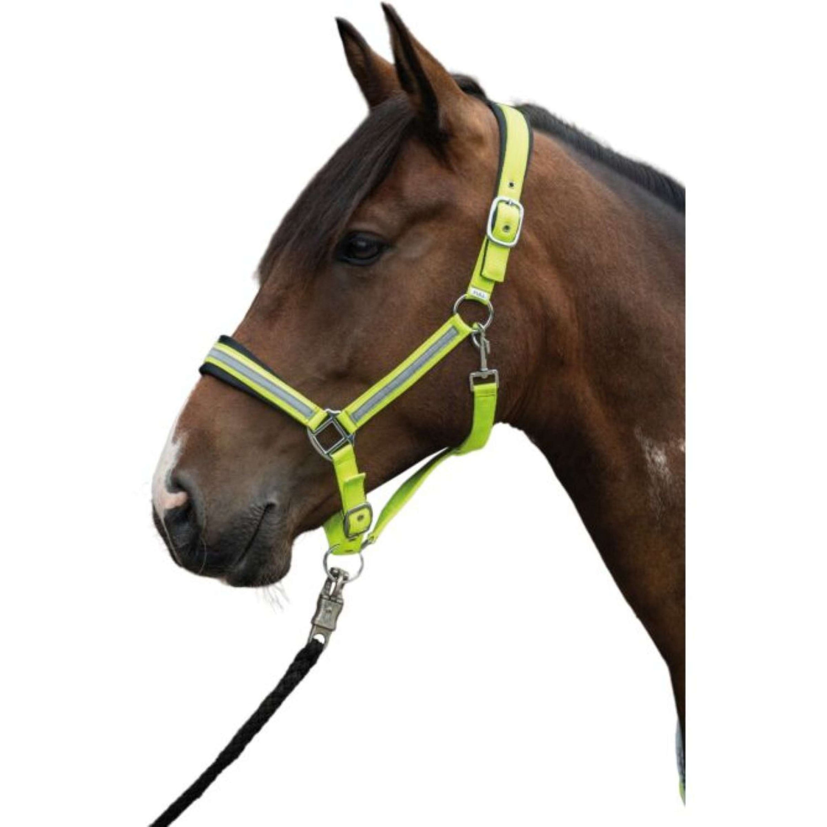 HKM Licol Reflective Néon Jaune HKM Licol Reflective Néon Jaune