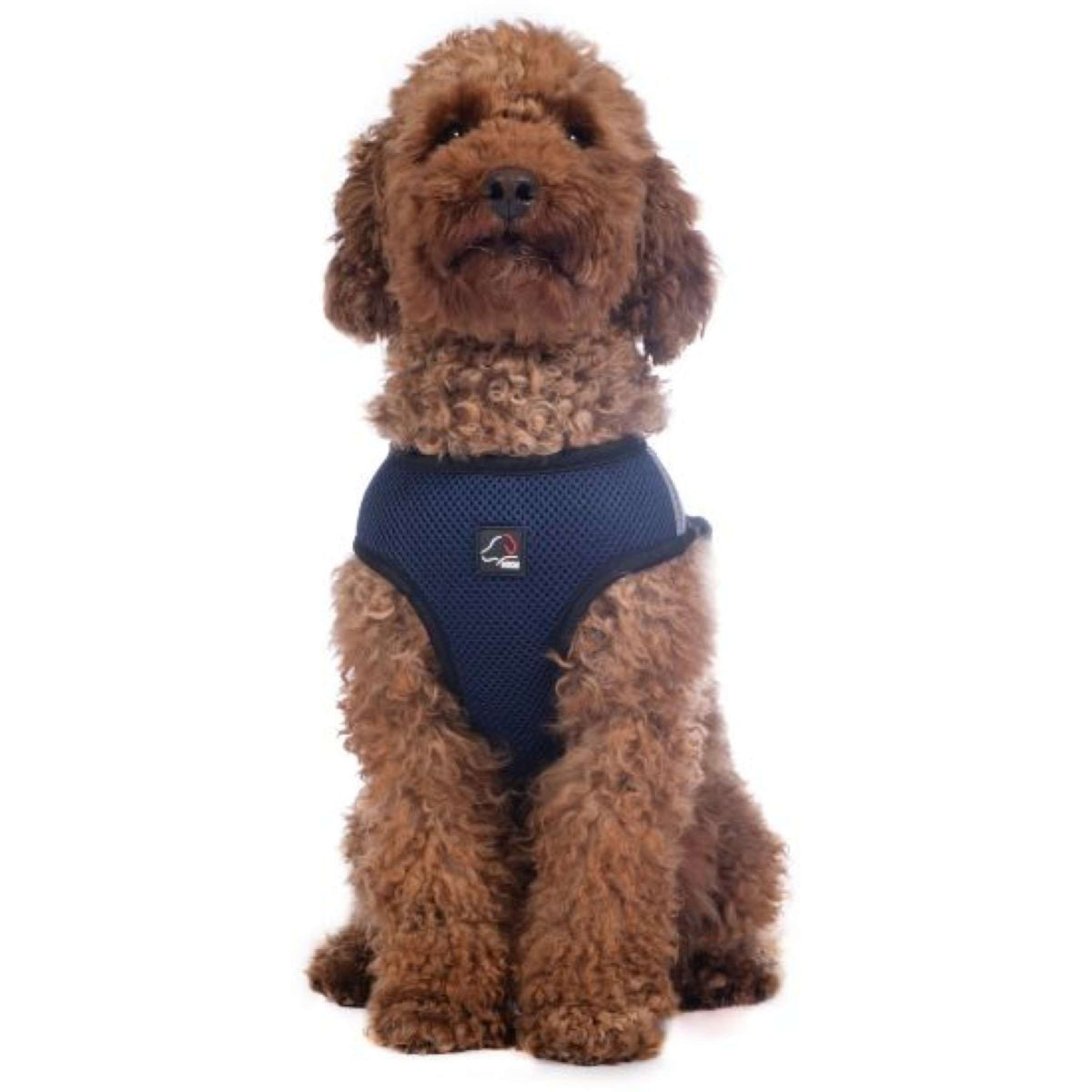 HKM Harnais pour Chien Buddy Soft Bleu Foncé