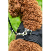 HKM Harnais pour Chien Buddy Soft Noir