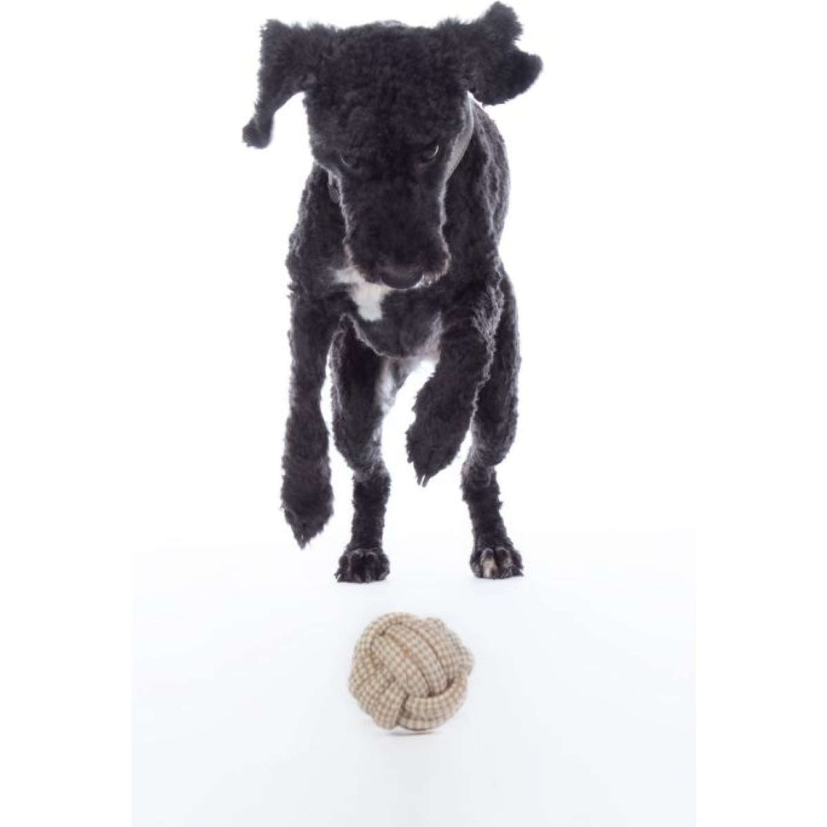 HKM Jouets pour Chien Buddy Balle nature