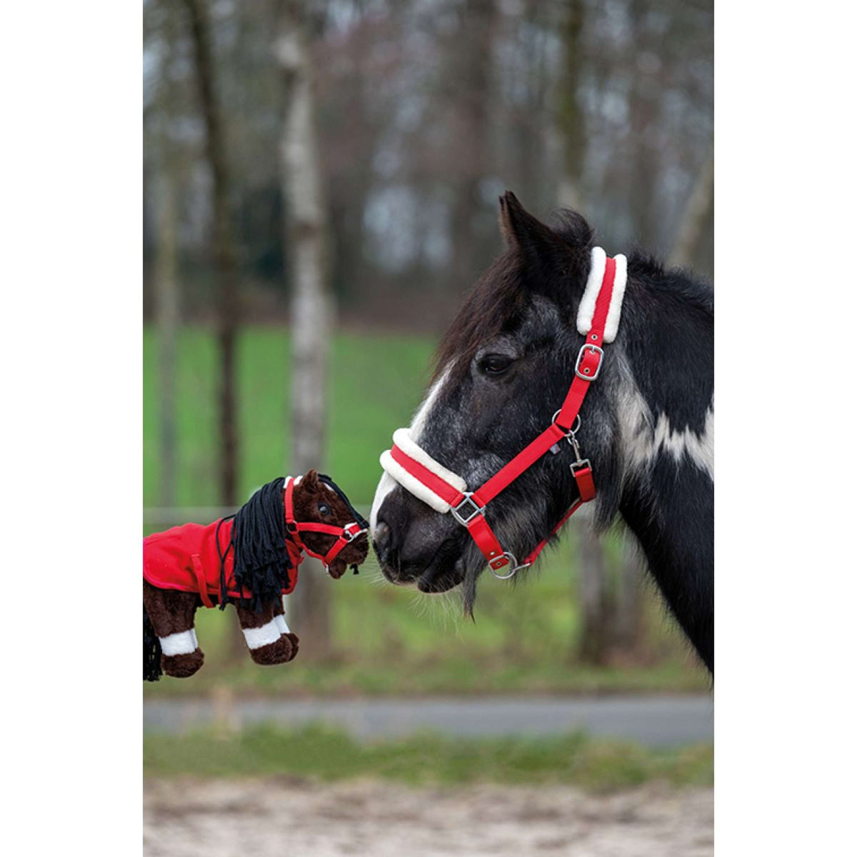 HKM Câlin Poney Ensemble de Démarrage Rouge