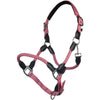 HKM Licol Carlotta Rose