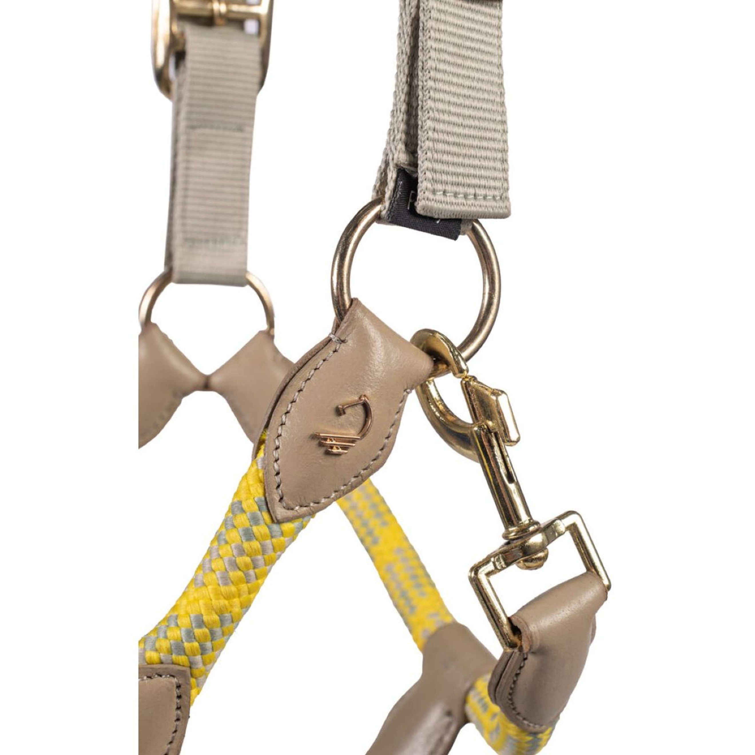 Lauria Garrelli Licol Limone Sportive Gris/Beige