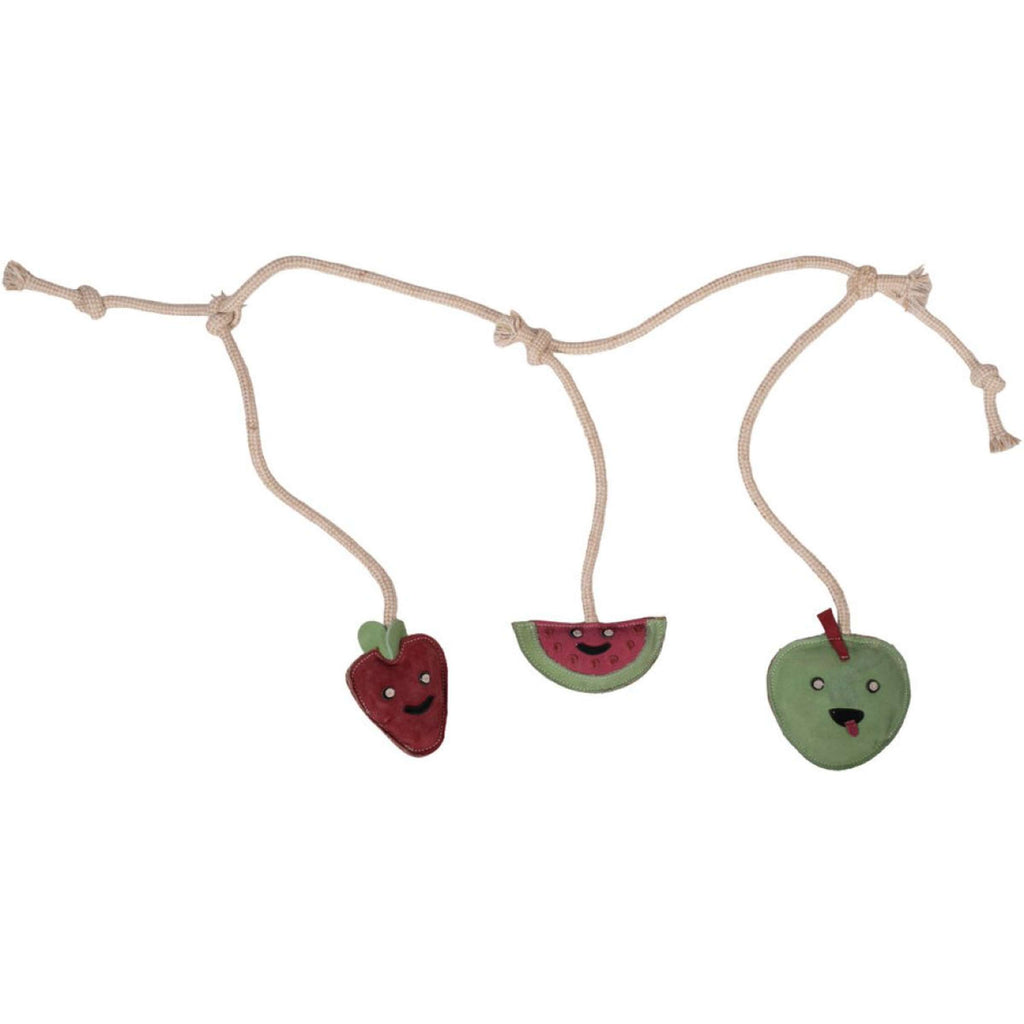 HKM Jouet Fruit