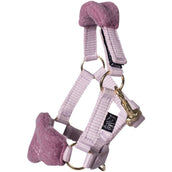 HKM Ensemble Licol Cuddle Horse Rose clair