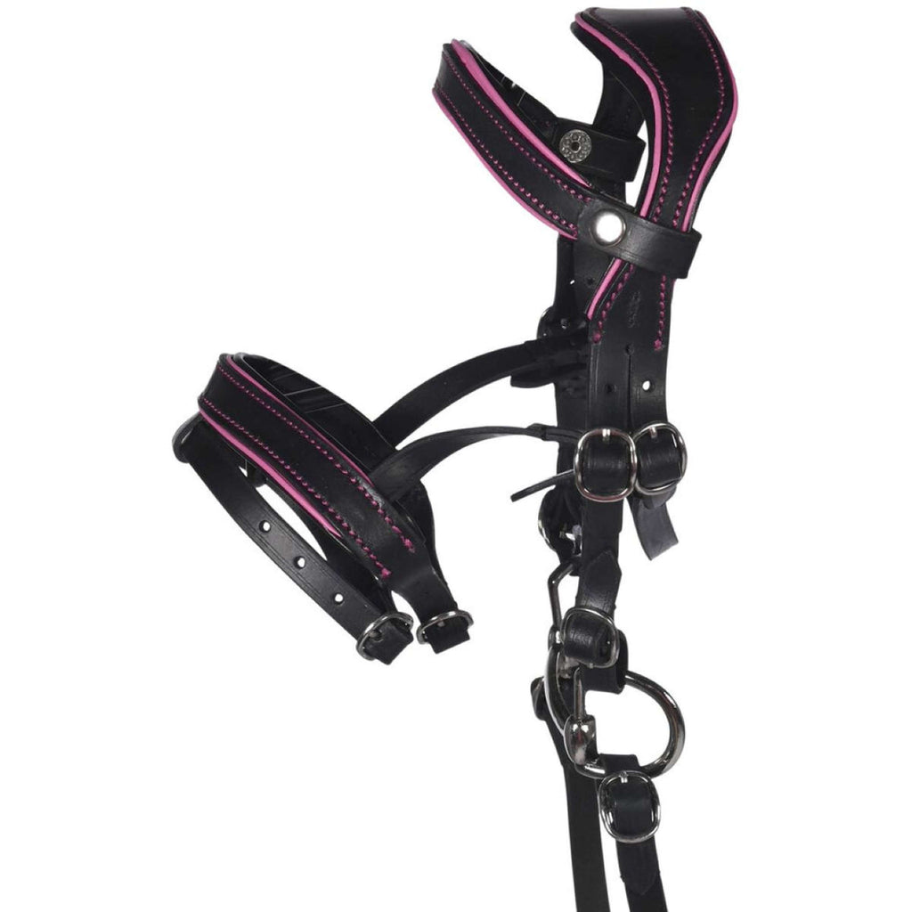 HKM Hobby Horsing Bride Noir/Rose