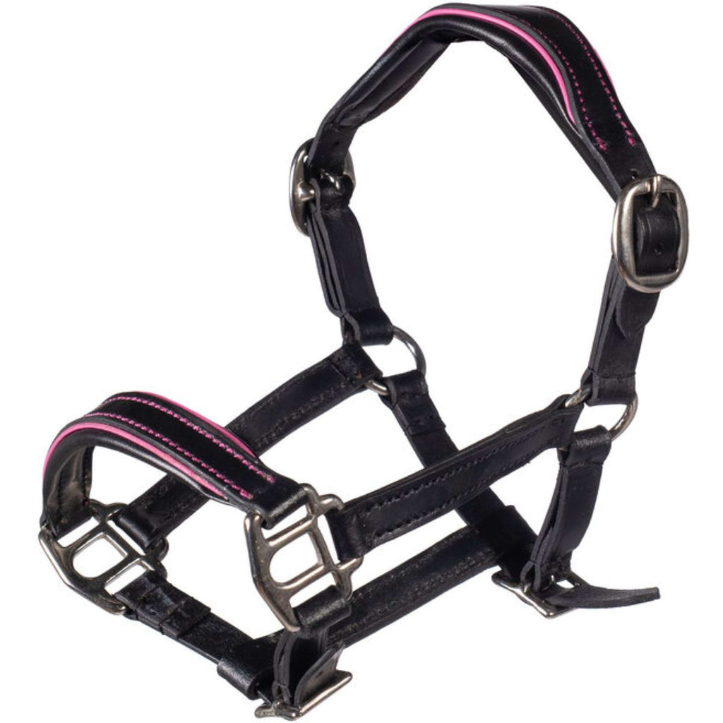 HKM Hobby Horsing Licol en Cuir Noir/Rose