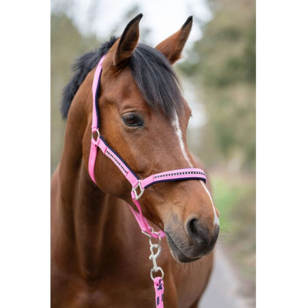 HKM Ensemble Licol Crystal Souple Rembourrage Rose/Bleu foncé