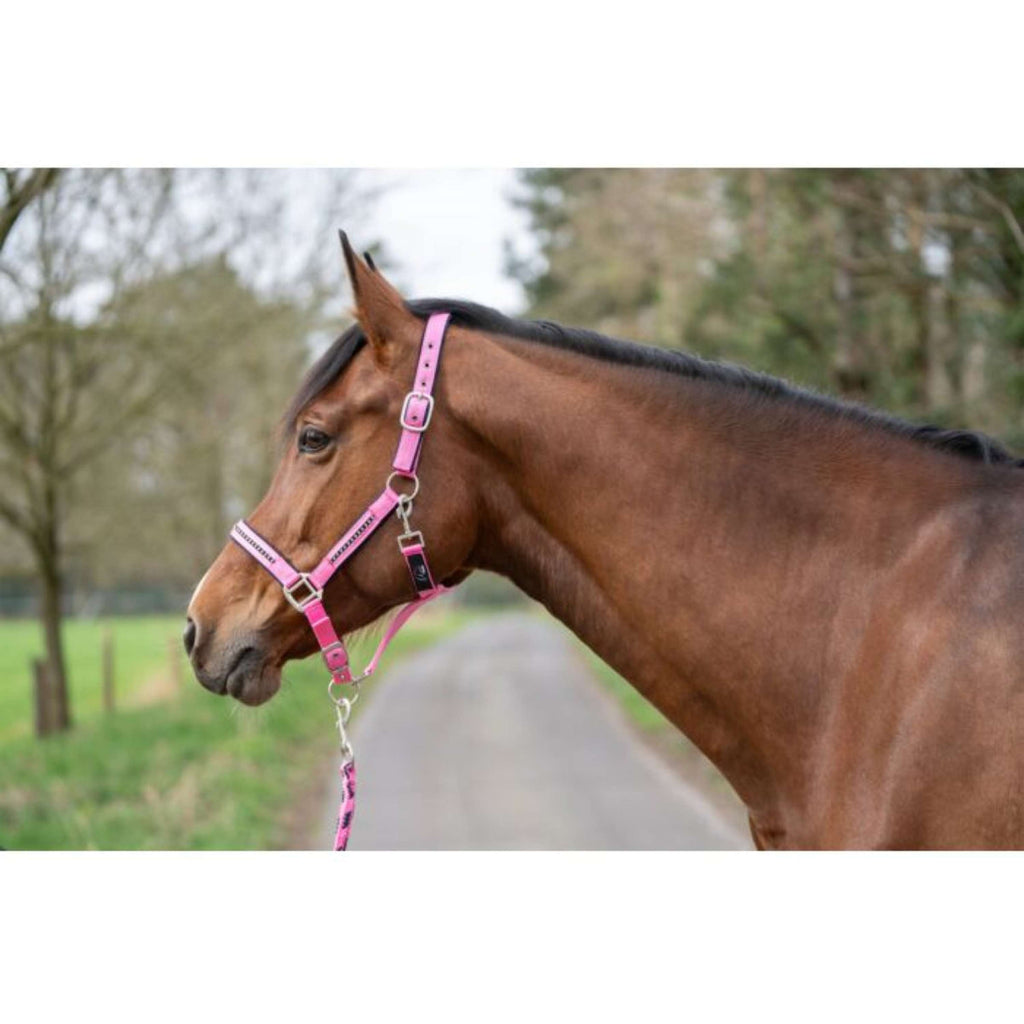 HKM Ensemble Licol Crystal Souple Rembourrage Rose/Bleu foncé