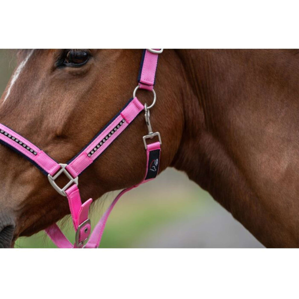 HKM Ensemble Licol Crystal Souple Rembourrage Rose/Bleu foncé