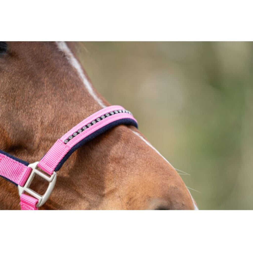HKM Ensemble Licol Crystal Souple Rembourrage Rose/Bleu foncé