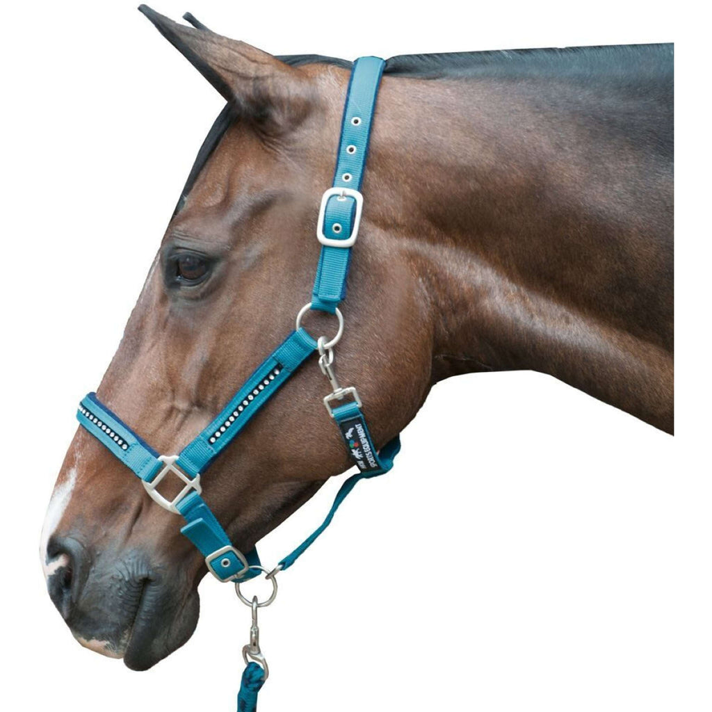 HKM Ensemble Licol Crystal Souple Rembourrage Petrol/marine