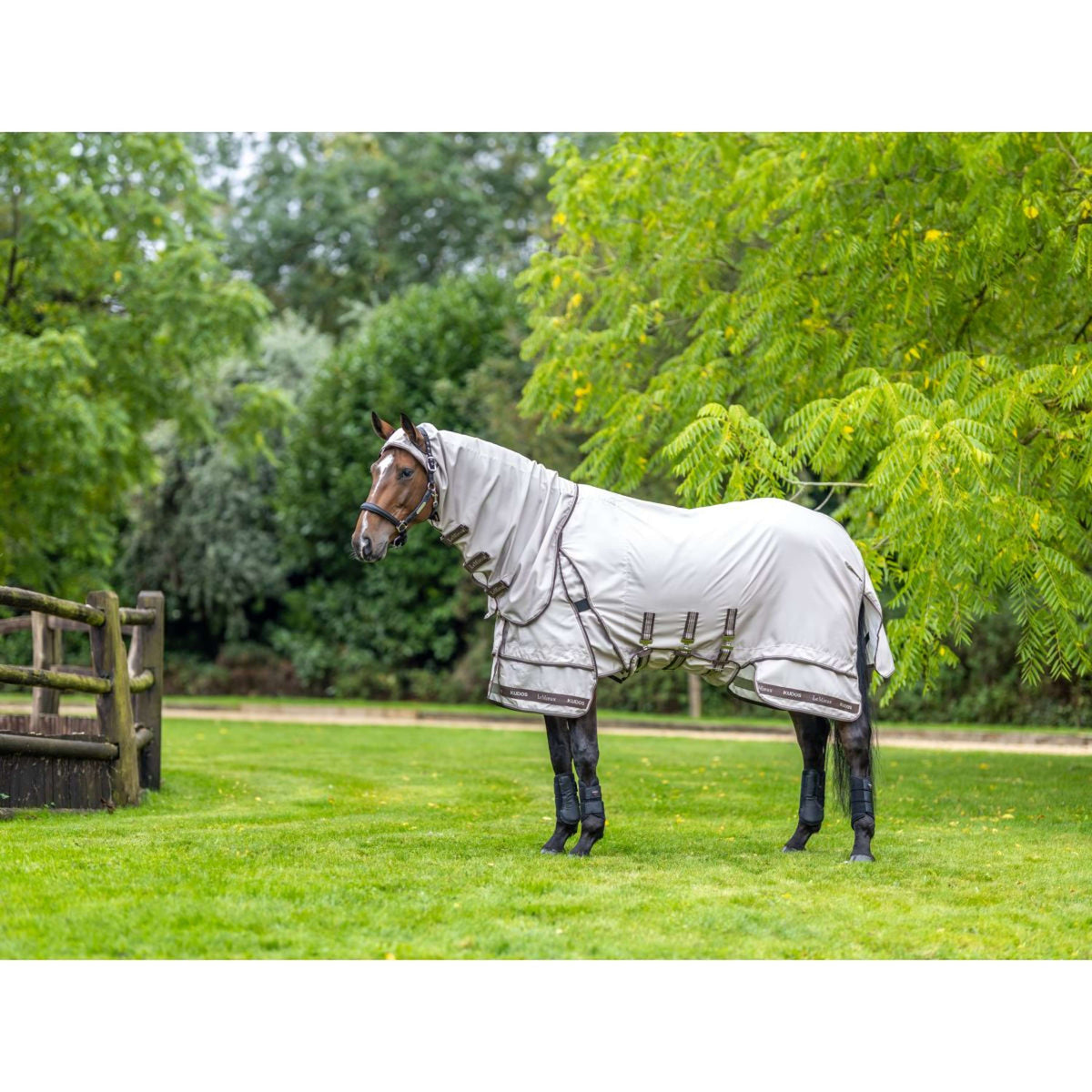 LeMieux Couverture Anti-Eczema Kudos Sweet Itch SS26 Pierre