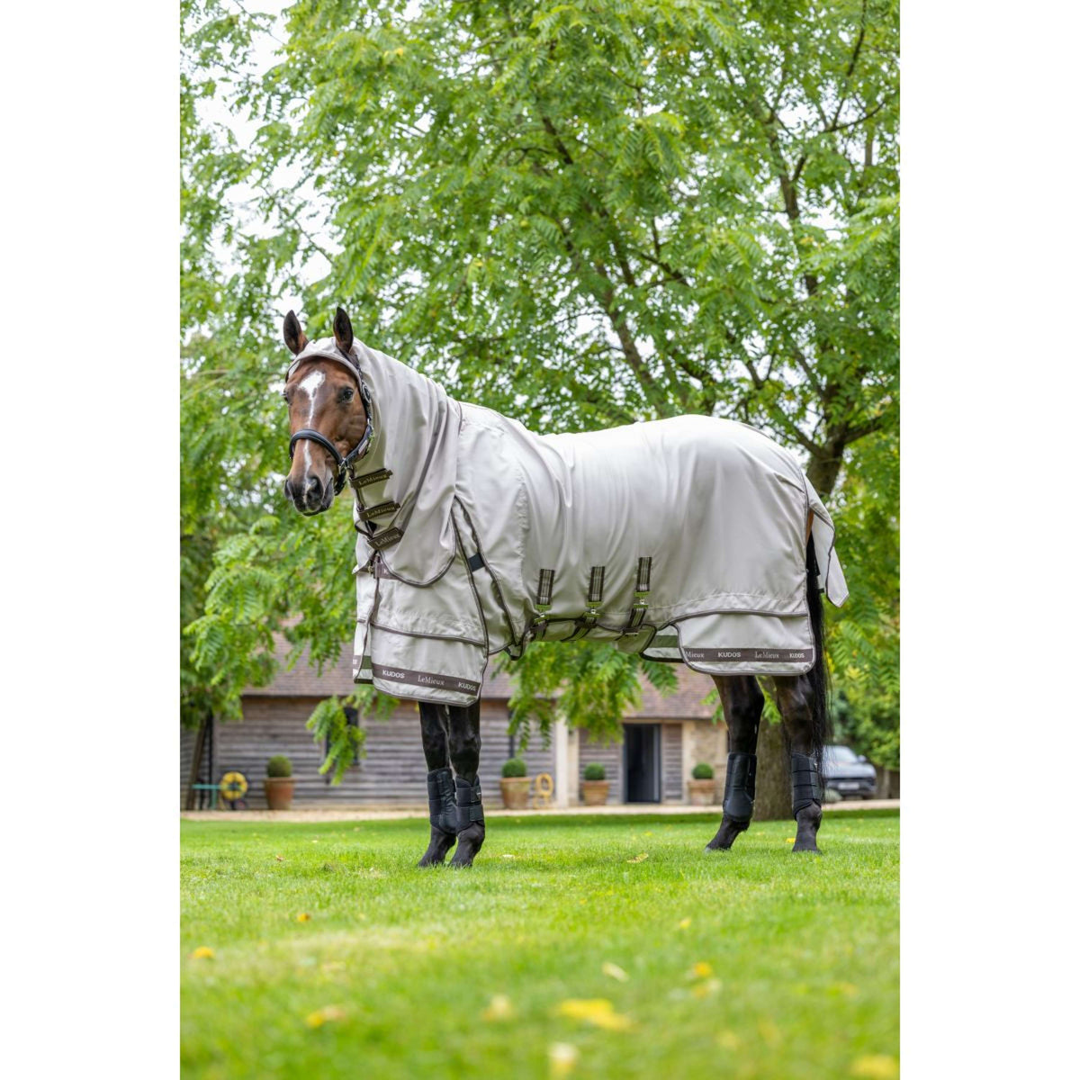 LeMieux Couverture Anti-Eczema Kudos Sweet Itch SS26 Pierre